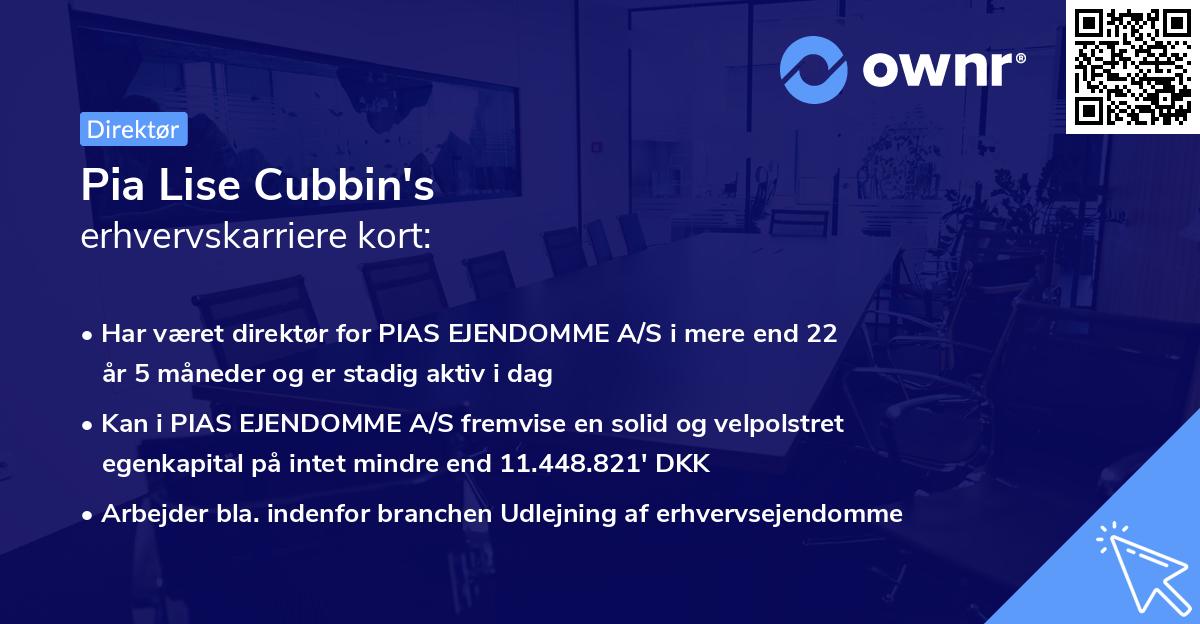 Pia Lise Cubbin's erhvervskarriere kort
