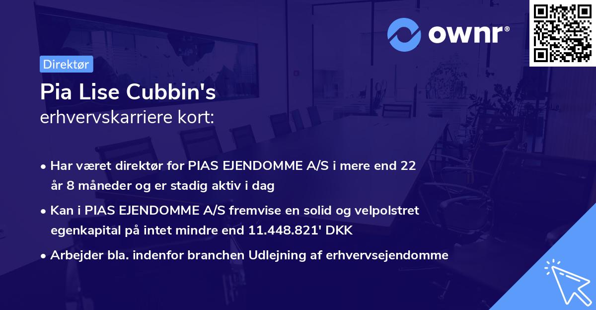 Pia Lise Cubbin's erhvervskarriere kort