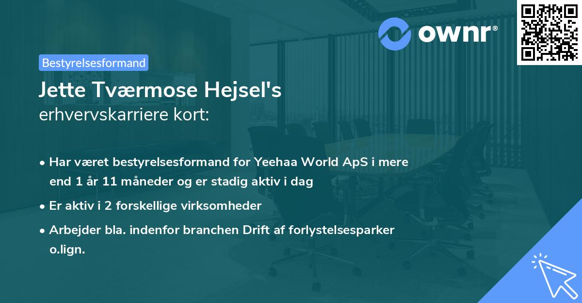 Jette Tværmose Hejsel's erhvervskarriere kort