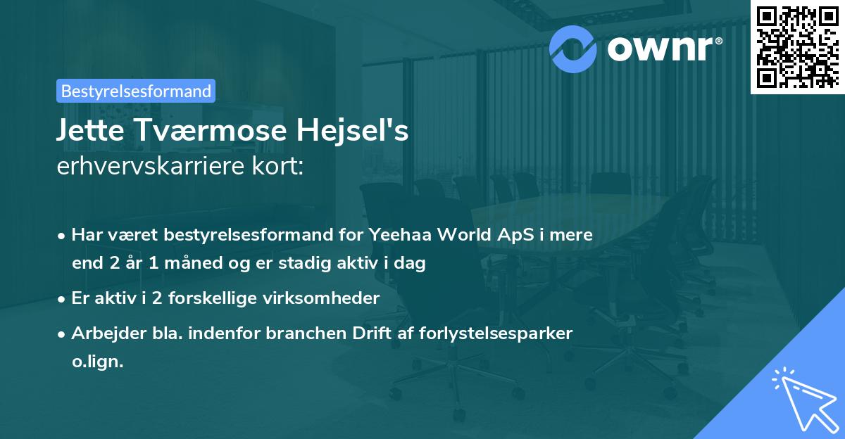 Jette Tværmose Hejsel's erhvervskarriere kort