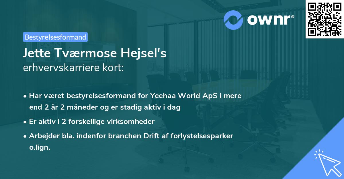 Jette Tværmose Hejsel's erhvervskarriere kort