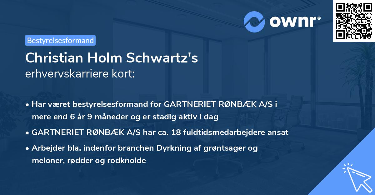 Christian Holm Schwartz's erhvervskarriere kort