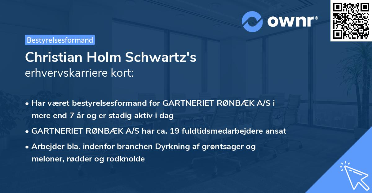 Christian Holm Schwartz's erhvervskarriere kort