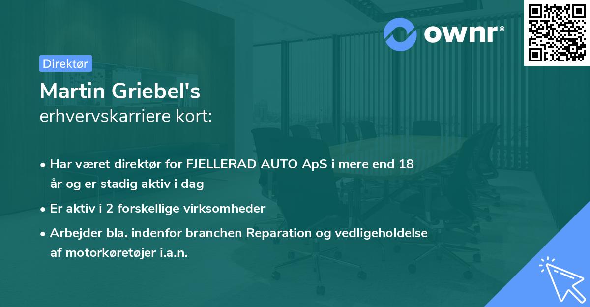 Martin Griebel's erhvervskarriere kort