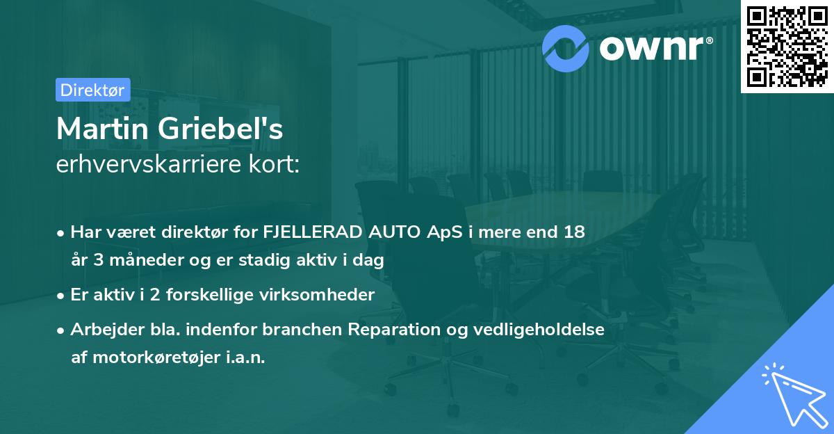 Martin Griebel's erhvervskarriere kort