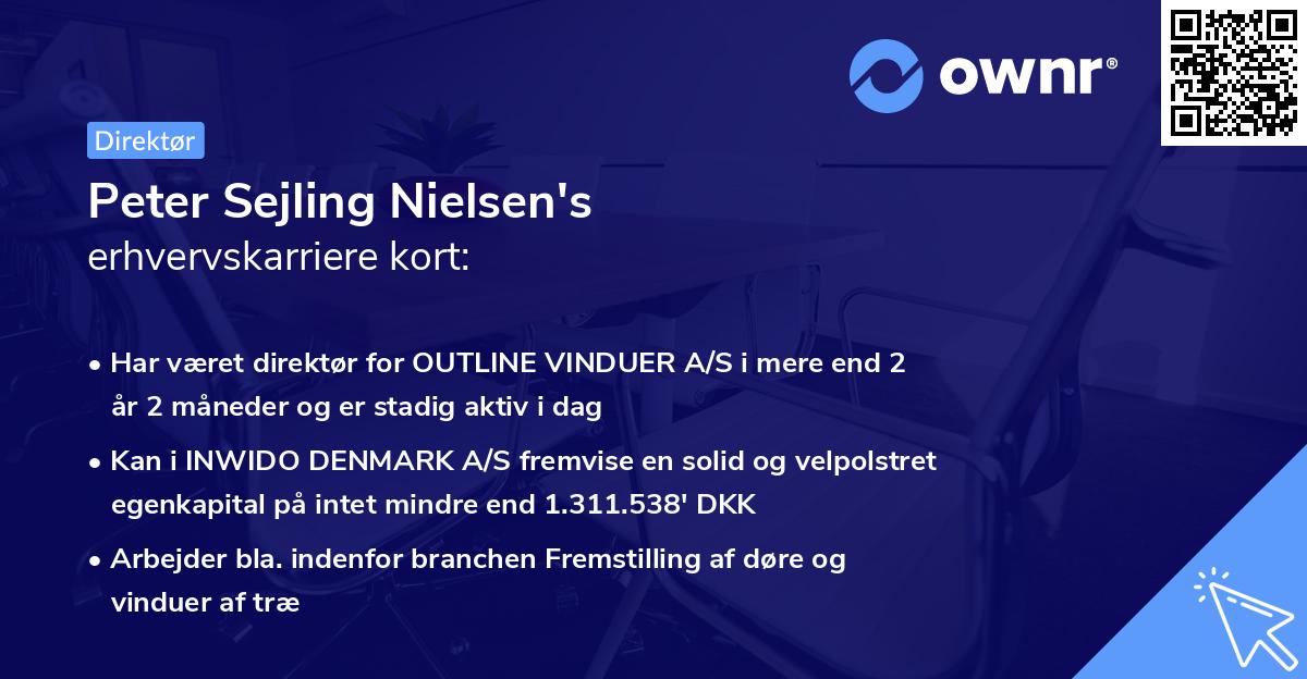 Peter Sejling Nielsen's erhvervskarriere kort