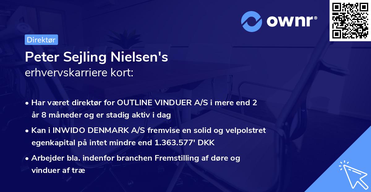Peter Sejling Nielsen's erhvervskarriere kort