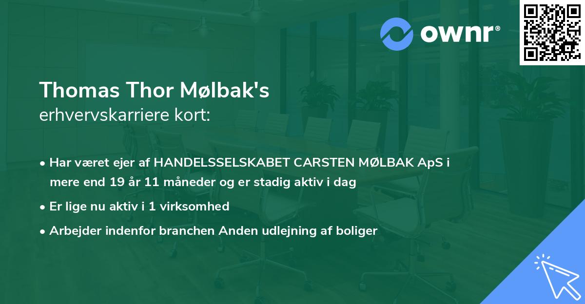 Thomas Thor Mølbak's erhvervskarriere kort