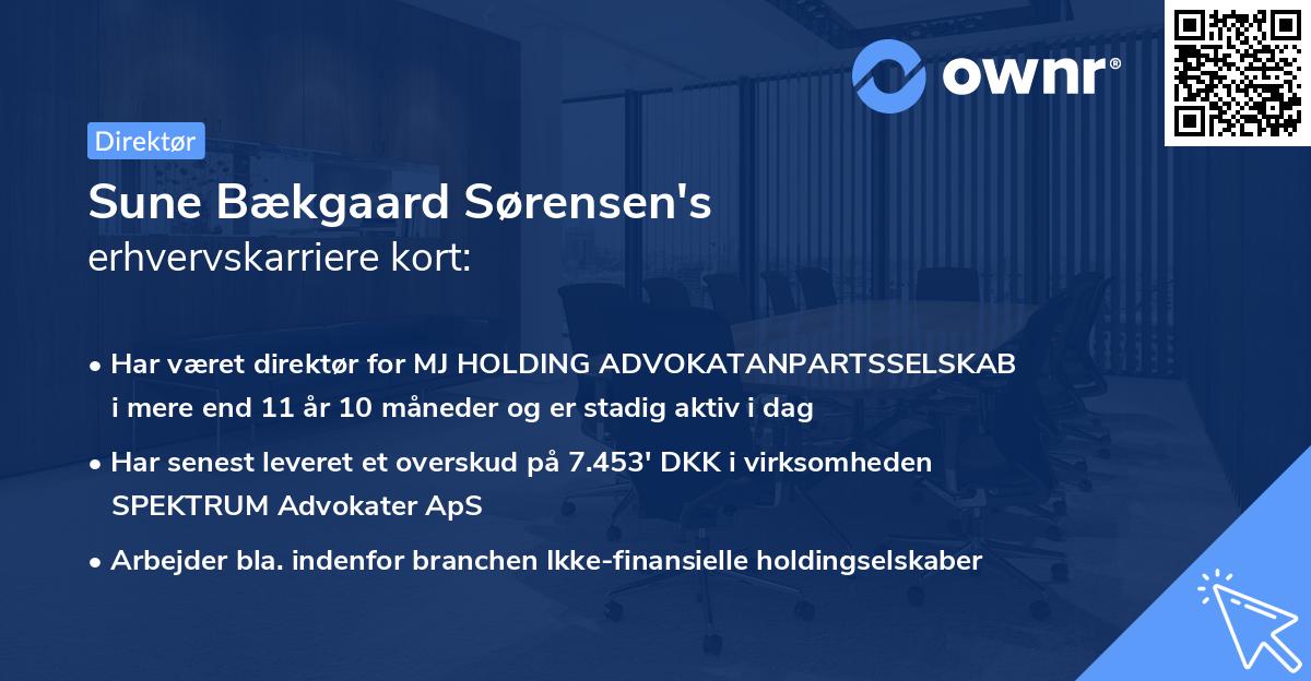Sune Bækgaard Sørensen's erhvervskarriere kort