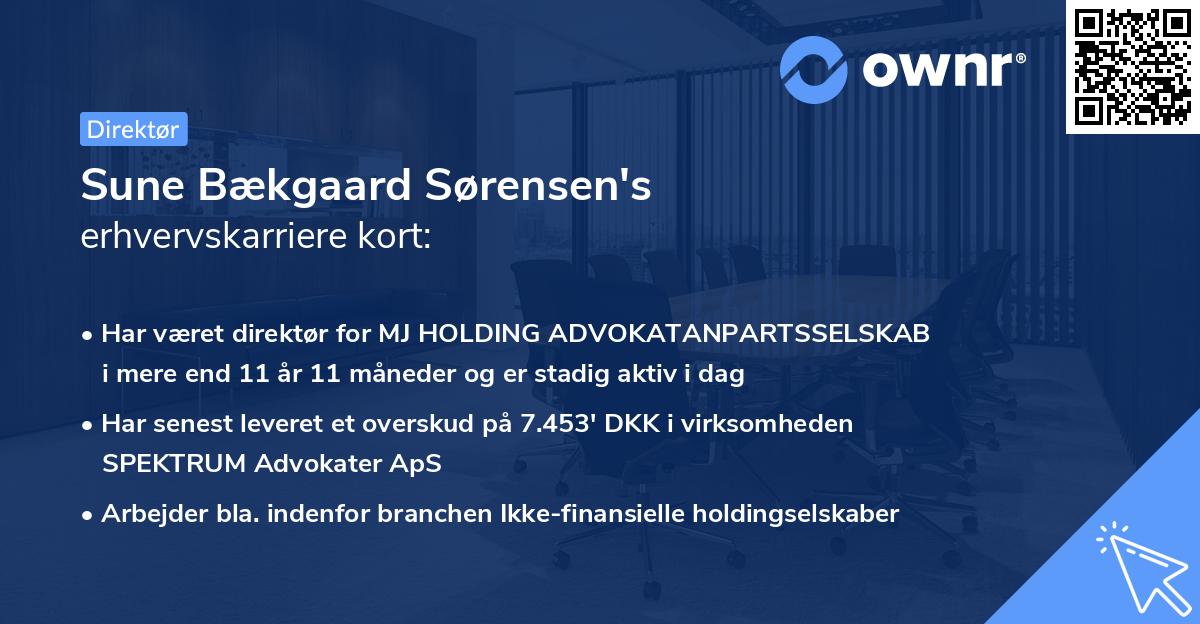 Sune Bækgaard Sørensen's erhvervskarriere kort