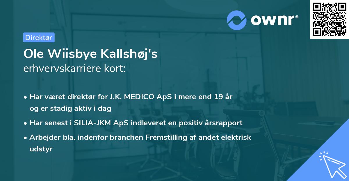Ole Wiisbye Kallshøj's erhvervskarriere kort