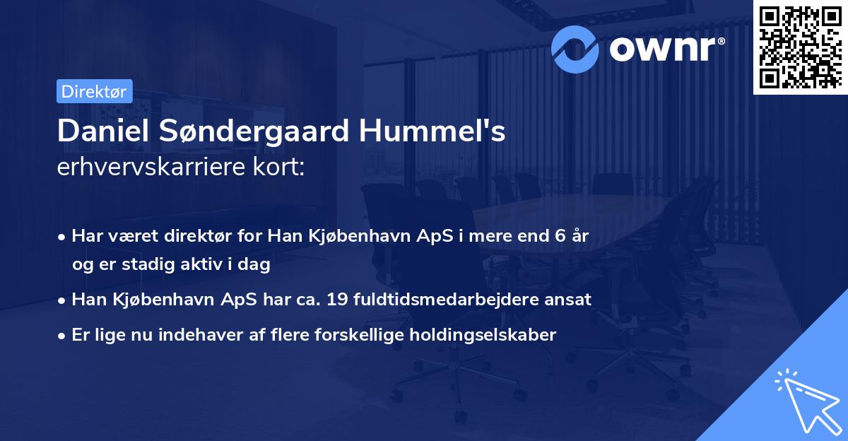 Daniel Søndergaard Hummel's erhvervskarriere kort