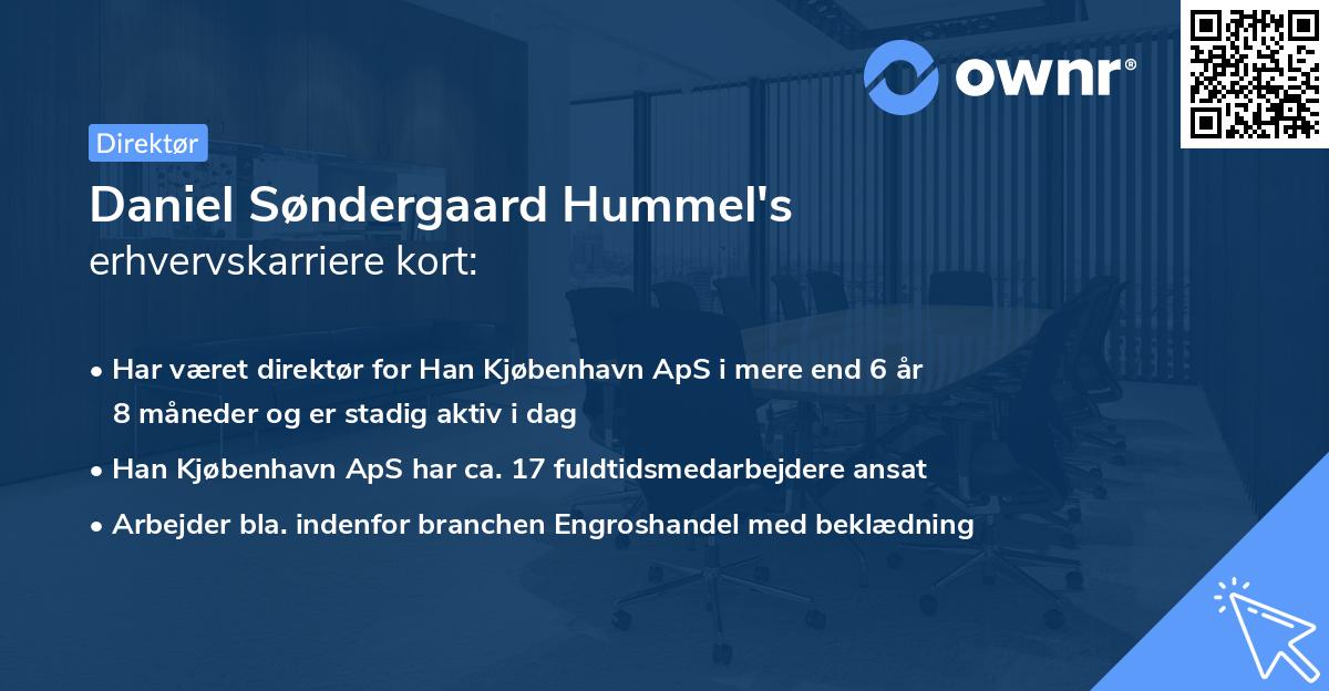 Daniel Søndergaard Hummel's erhvervskarriere kort