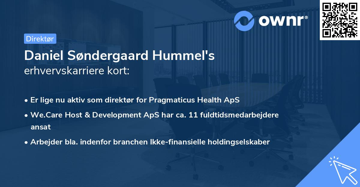 Daniel Søndergaard Hummel's erhvervskarriere kort