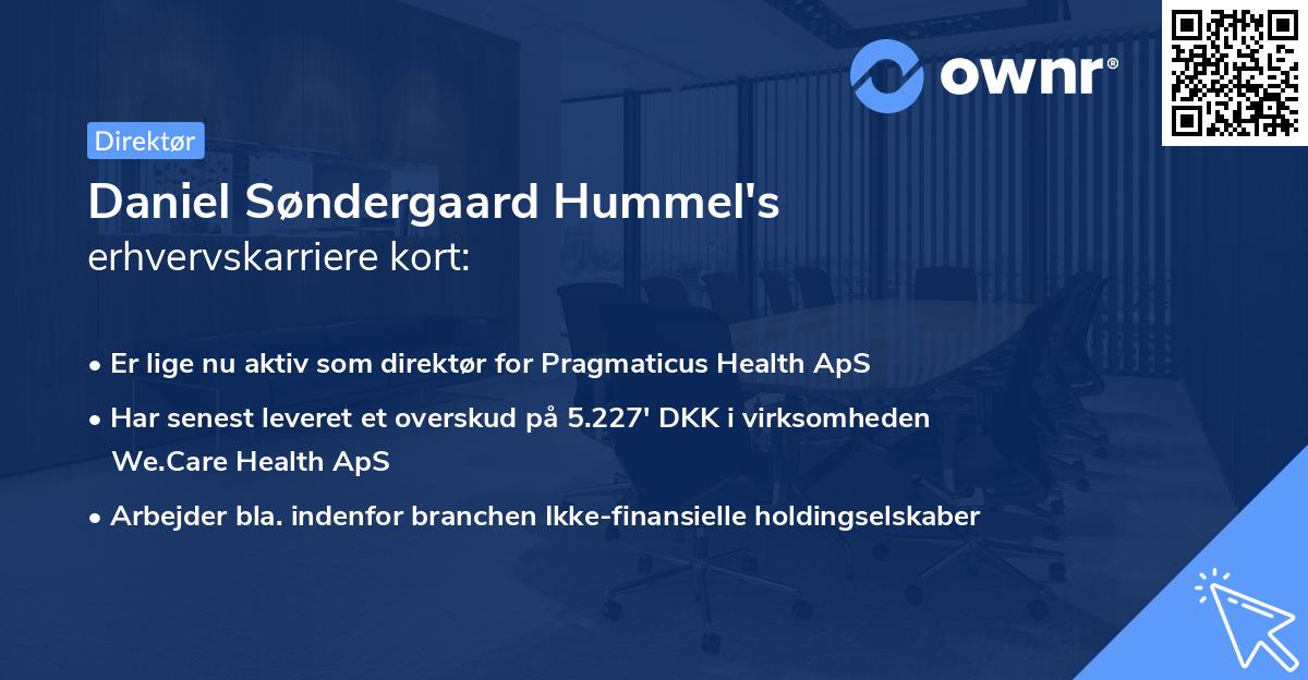 Daniel Søndergaard Hummel's erhvervskarriere kort