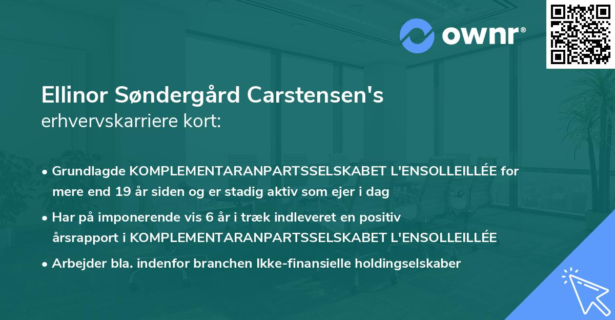 Ellinor Søndergård Carstensen's erhvervskarriere kort