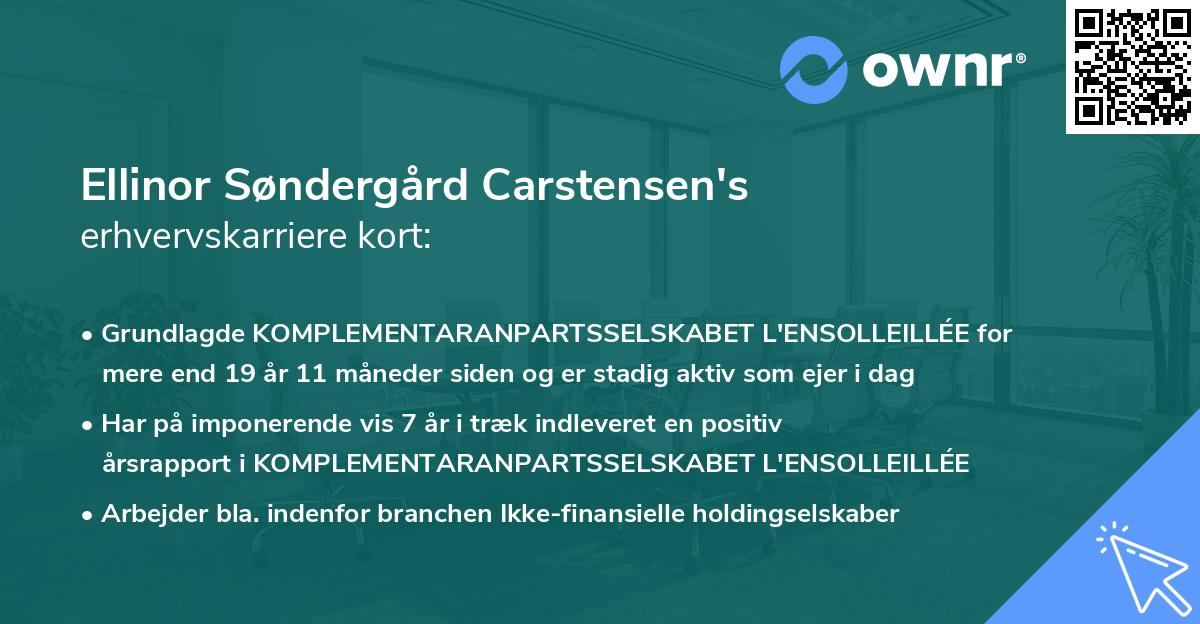 Ellinor Søndergård Carstensen's erhvervskarriere kort