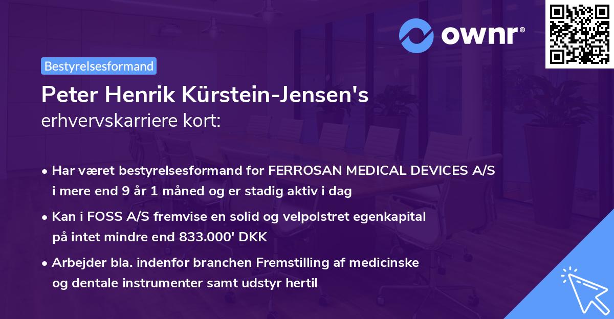 Peter Henrik Kürstein-Jensen's erhvervskarriere kort