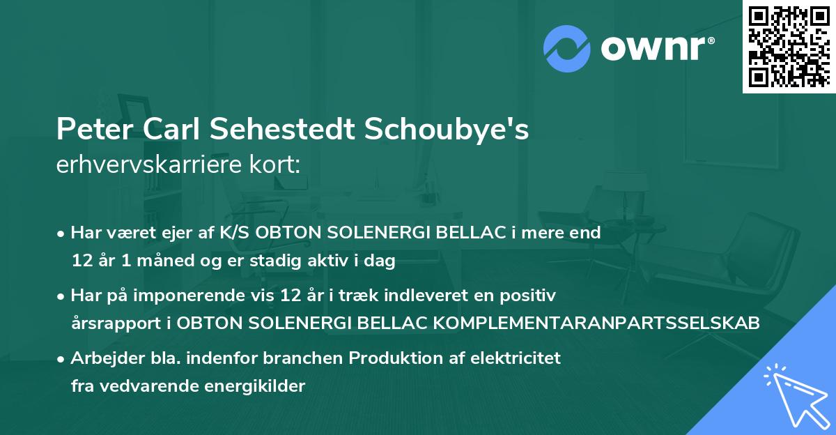 Peter Carl Sehestedt Schoubye's erhvervskarriere kort