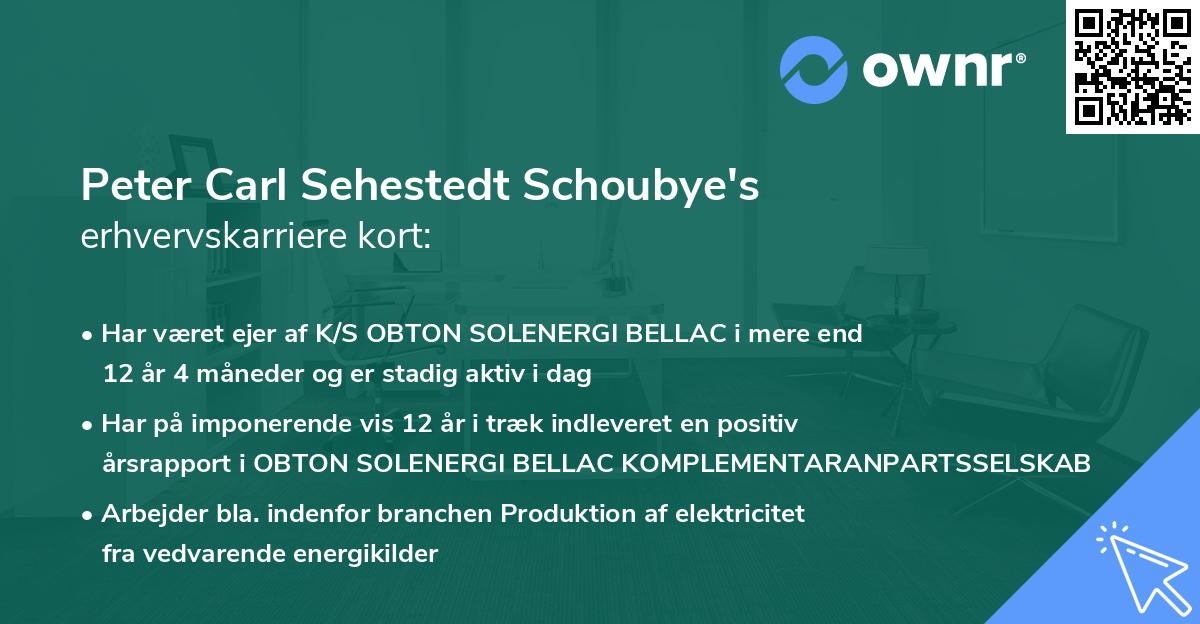 Peter Carl Sehestedt Schoubye's erhvervskarriere kort