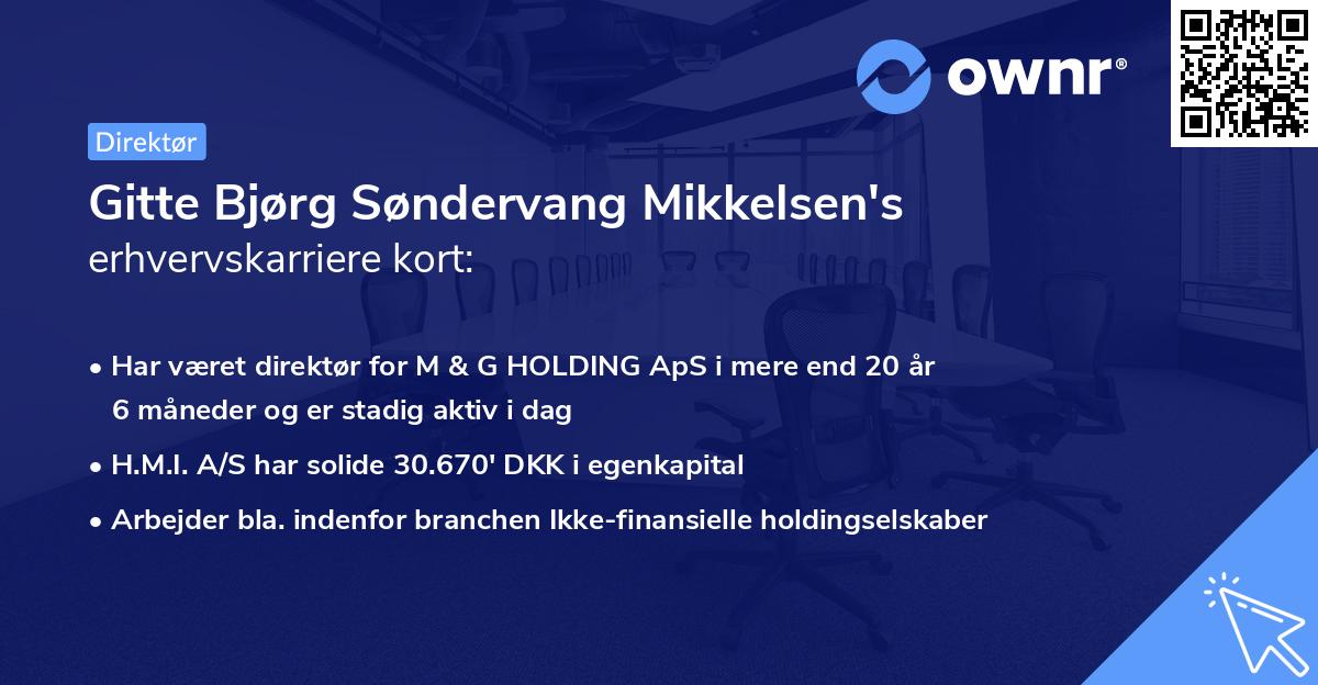 Gitte Bjørg Søndervang Mikkelsen's erhvervskarriere kort