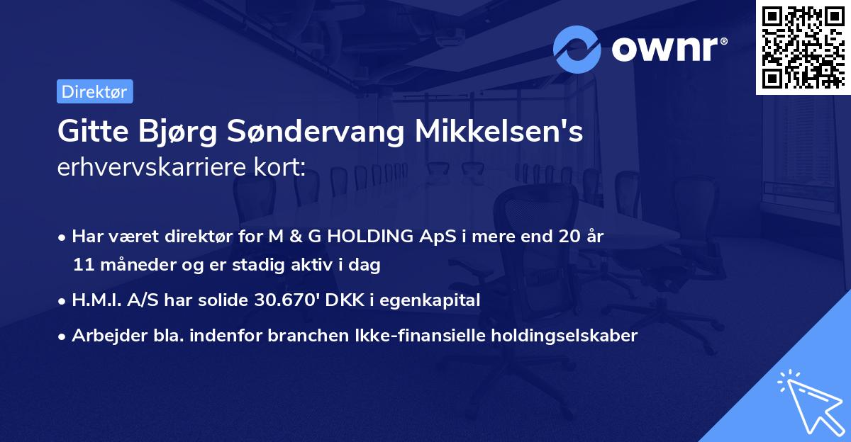 Gitte Bjørg Søndervang Mikkelsen's erhvervskarriere kort