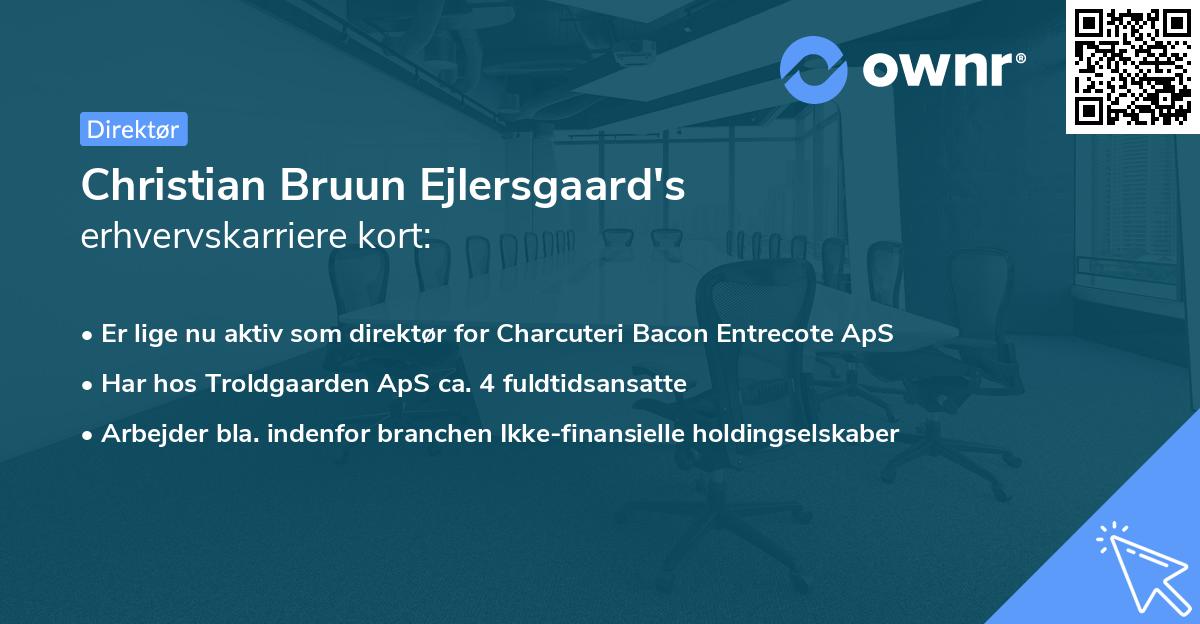 Christian Bruun Ejlersgaard's erhvervskarriere kort
