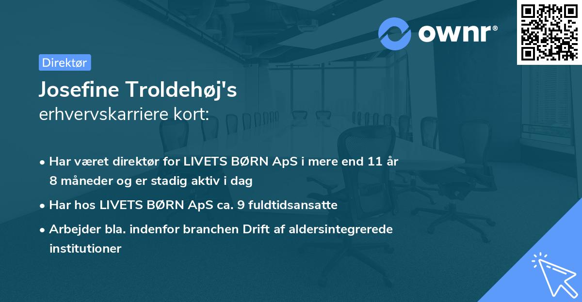 Josefine Troldehøj's erhvervskarriere kort