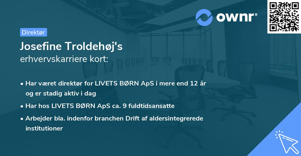 Josefine Troldehøj's erhvervskarriere kort