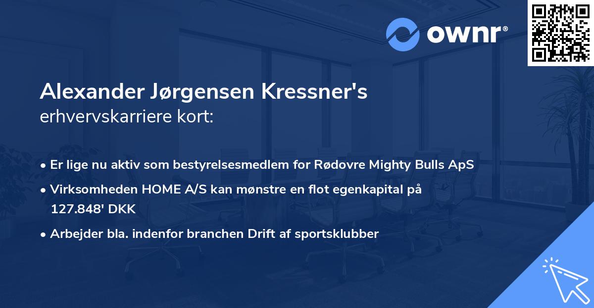 Alexander Jørgensen Kressner's erhvervskarriere kort
