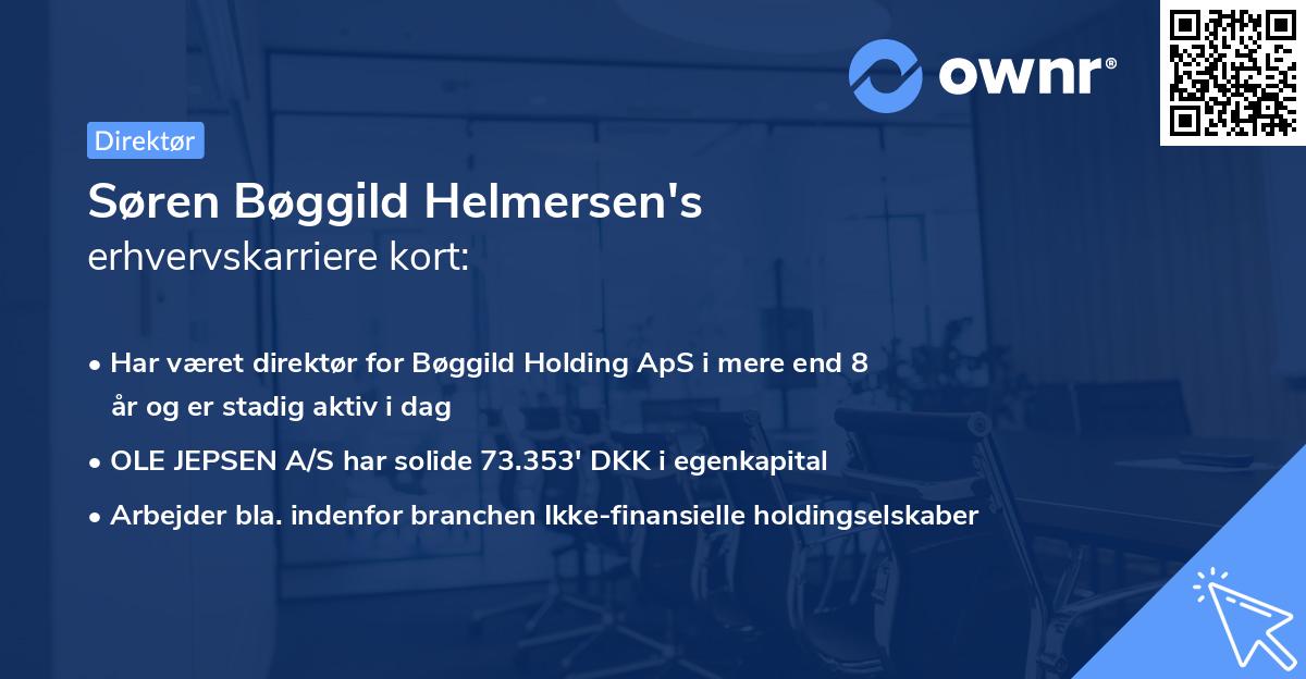 Søren Bøggild Helmersen's erhvervskarriere kort