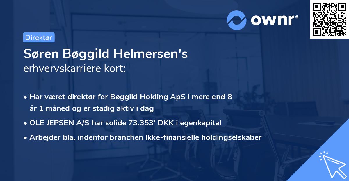 Søren Bøggild Helmersen's erhvervskarriere kort