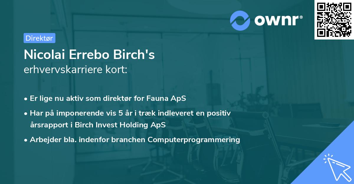 Nicolai Errebo Birch's erhvervskarriere kort