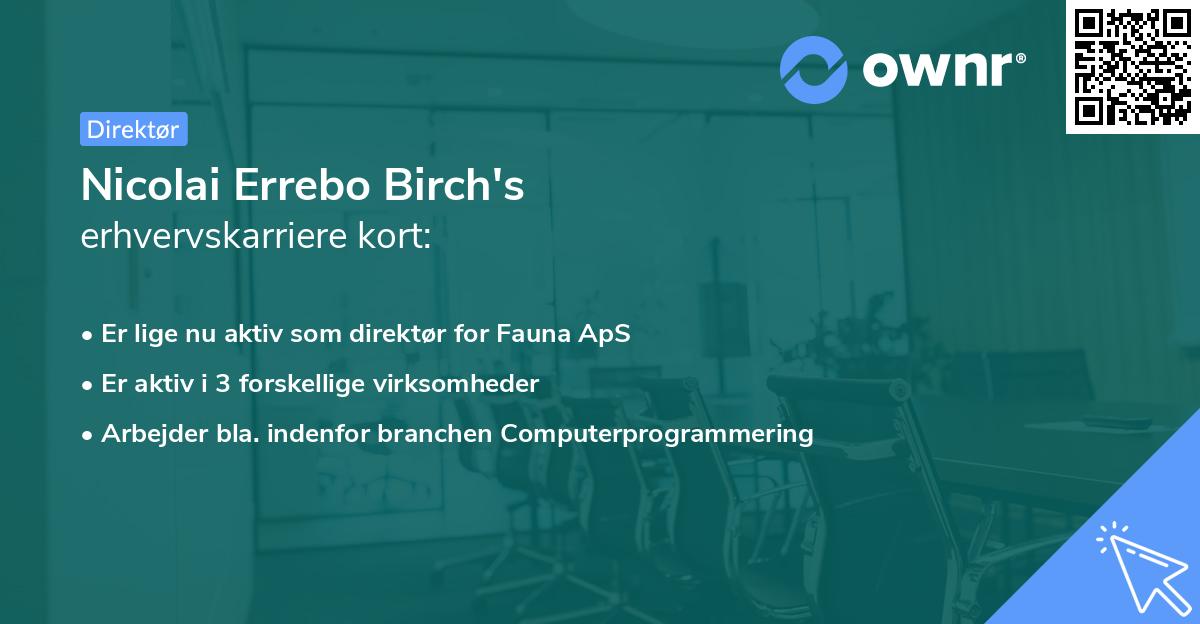 Nicolai Errebo Birch's erhvervskarriere kort