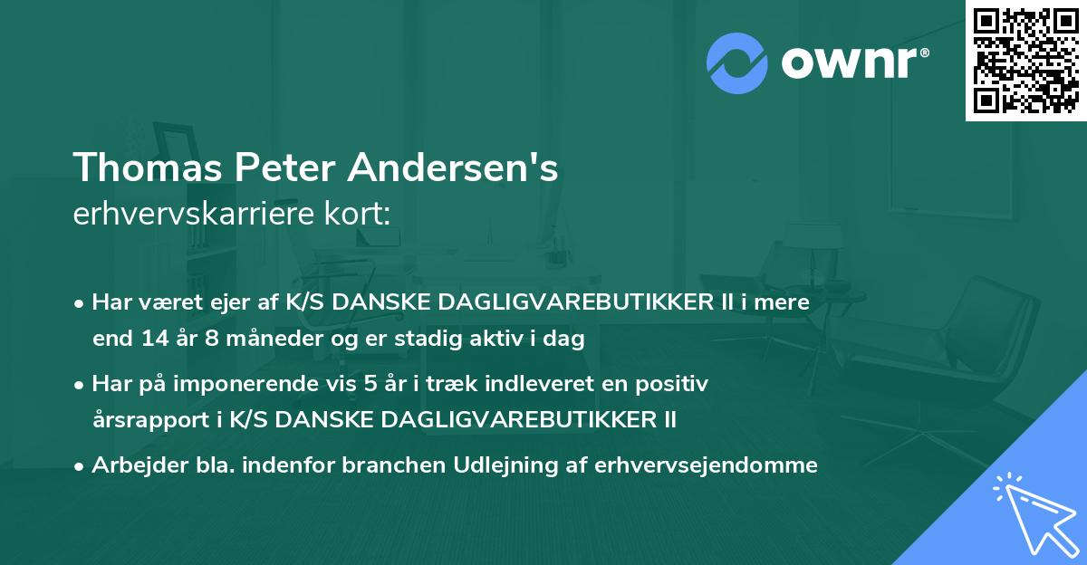 Thomas Peter Andersen's erhvervskarriere kort