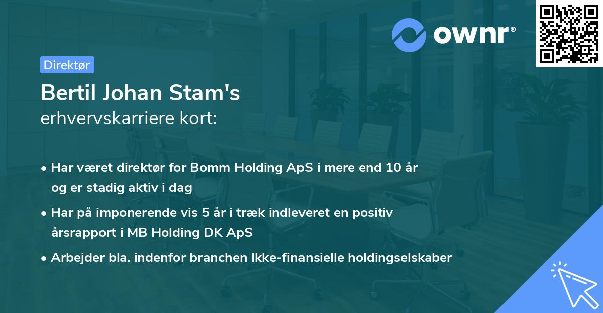 Bertil Johan Stam's erhvervskarriere kort