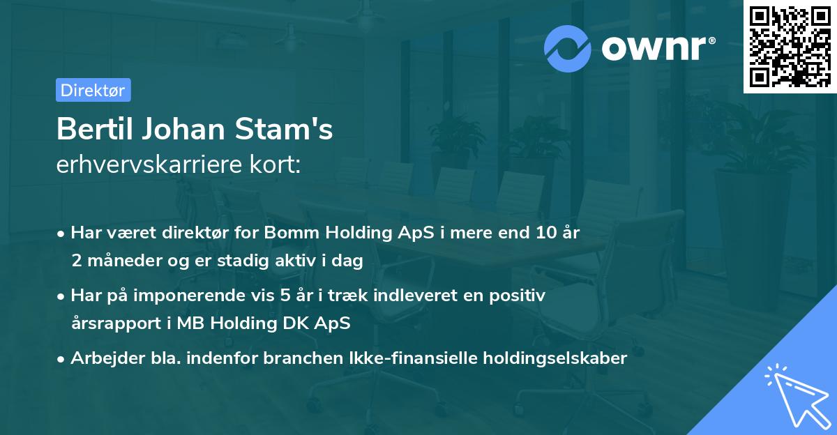 Bertil Johan Stam's erhvervskarriere kort