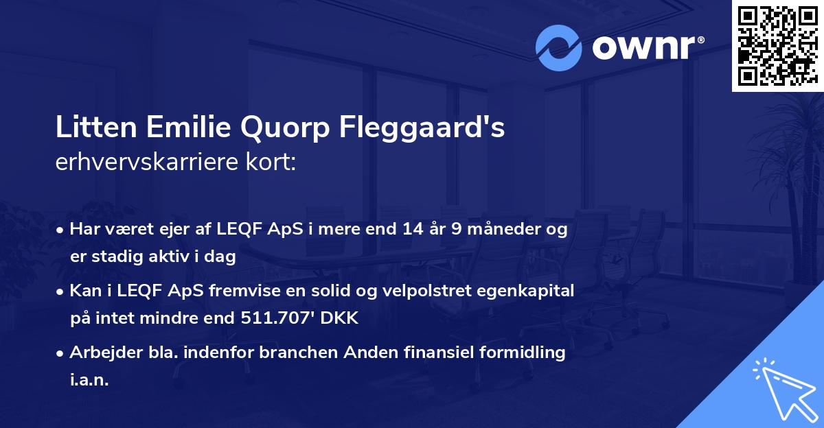 Litten Emilie Quorp Fleggaard's erhvervskarriere kort