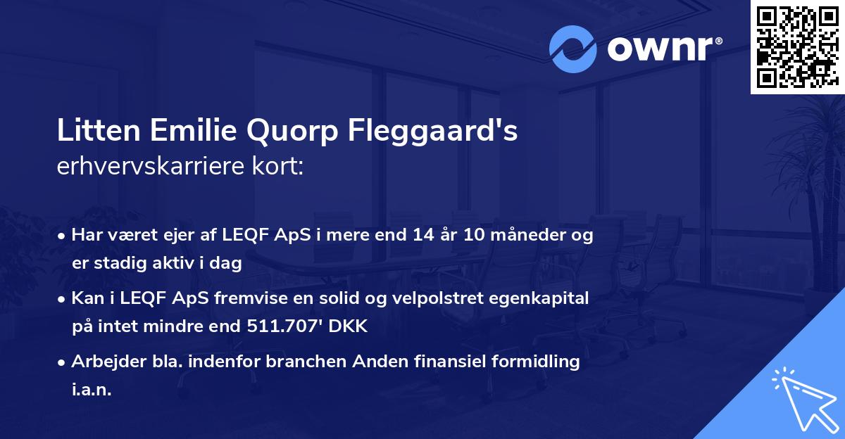Litten Emilie Quorp Fleggaard's erhvervskarriere kort
