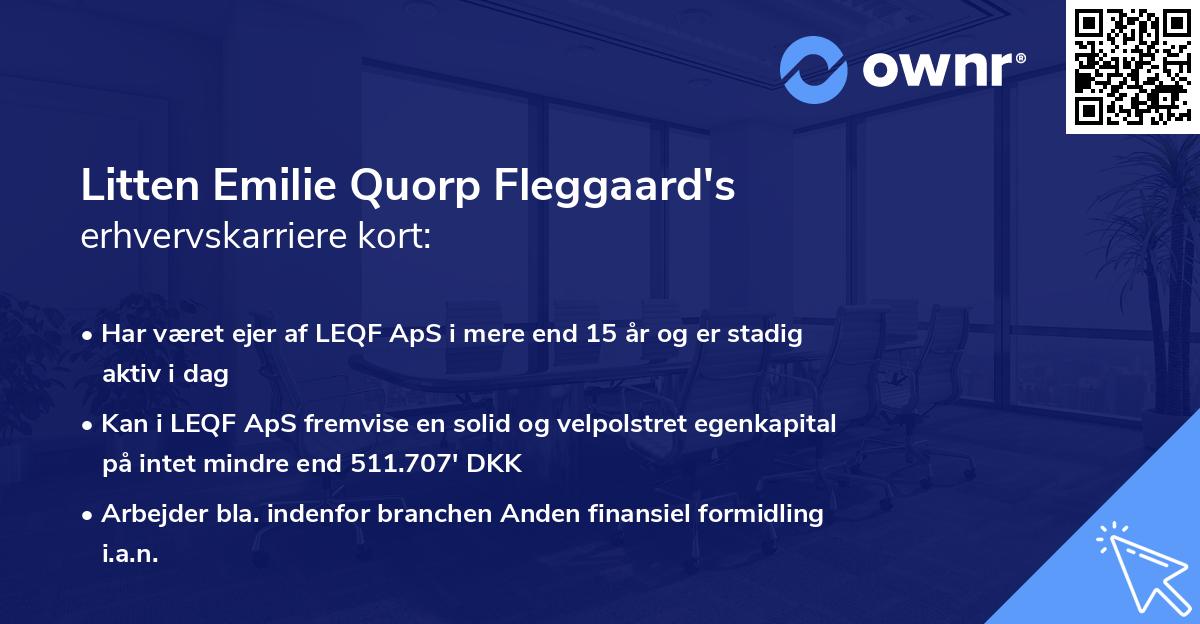 Litten Emilie Quorp Fleggaard's erhvervskarriere kort
