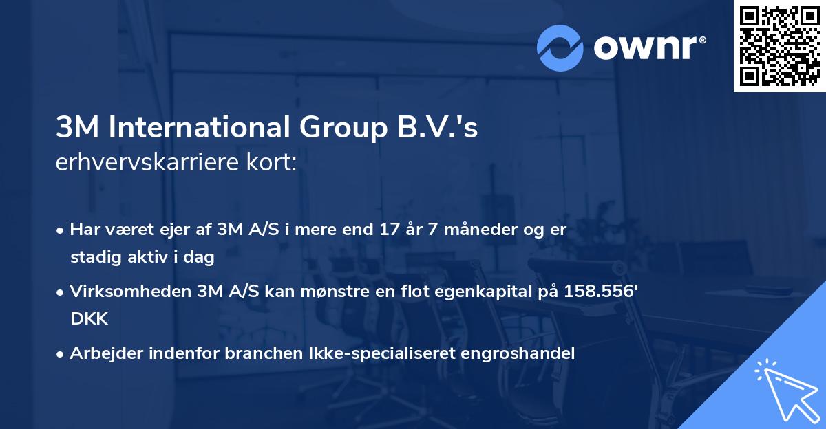 3M International Group B.V.'s erhvervskarriere kort