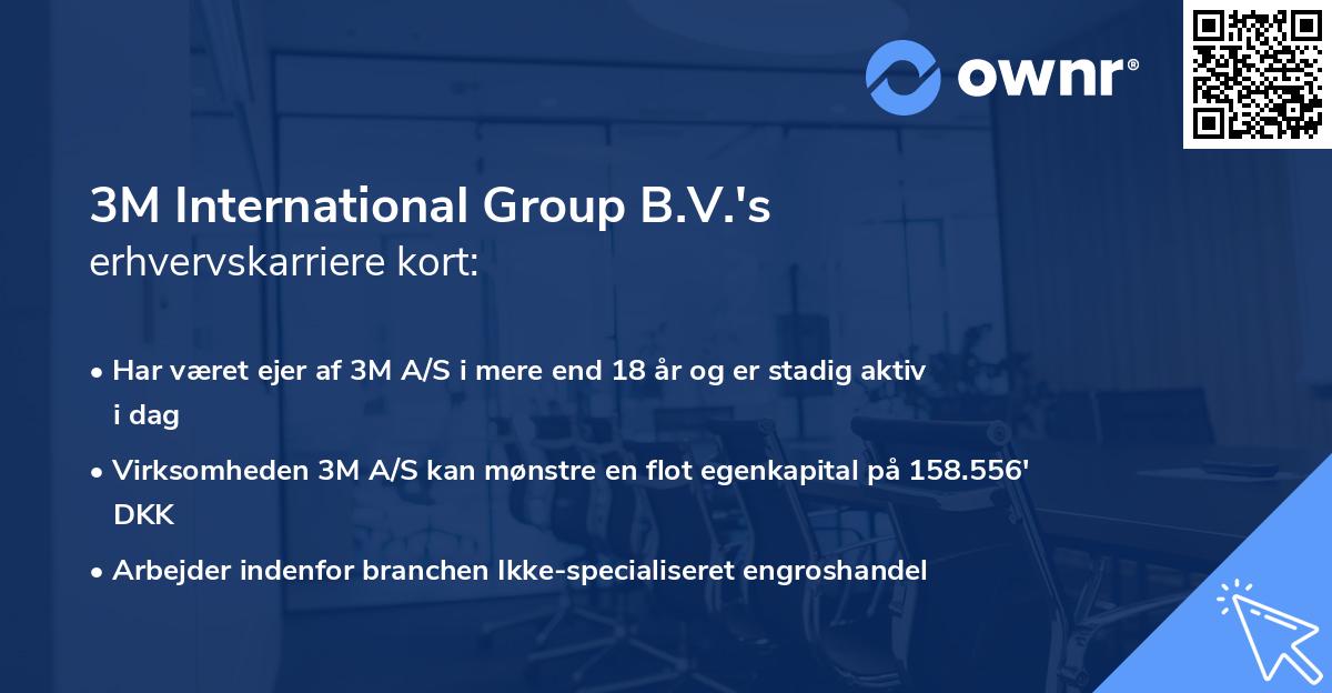 3M International Group B.V.'s erhvervskarriere kort