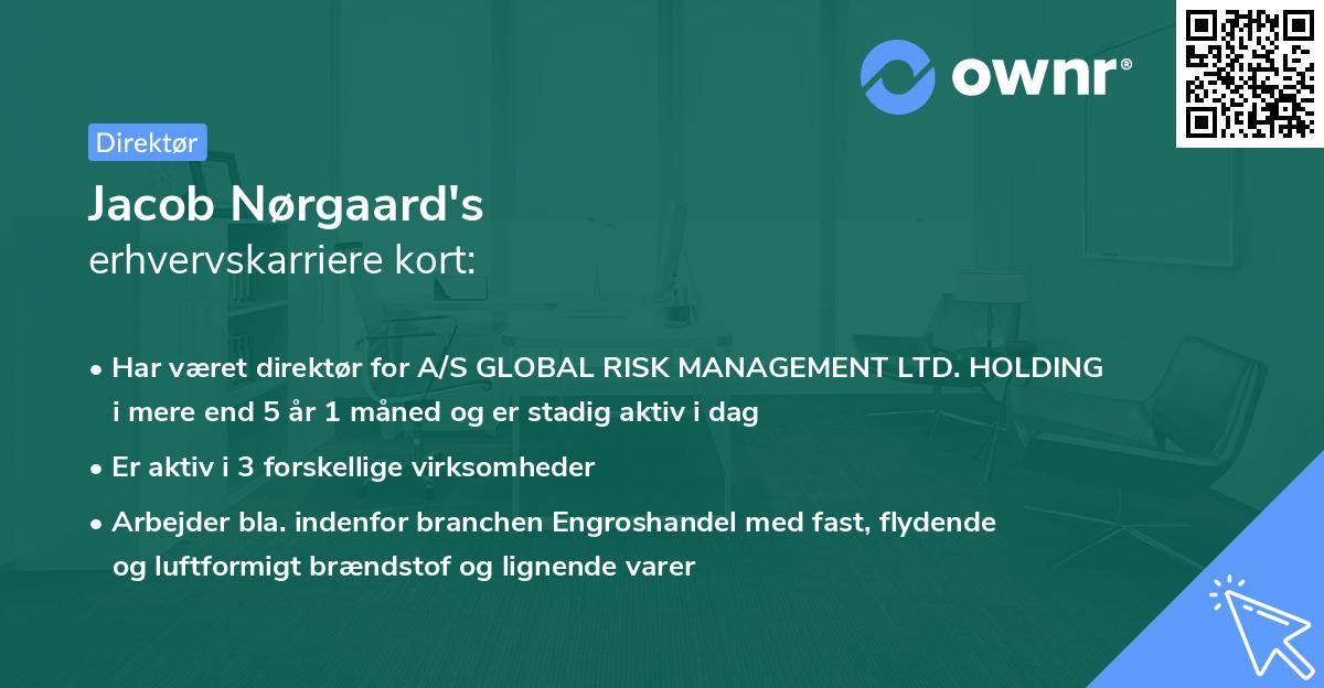 Jacob Nørgaard's erhvervskarriere kort
