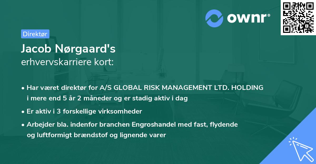 Jacob Nørgaard's erhvervskarriere kort