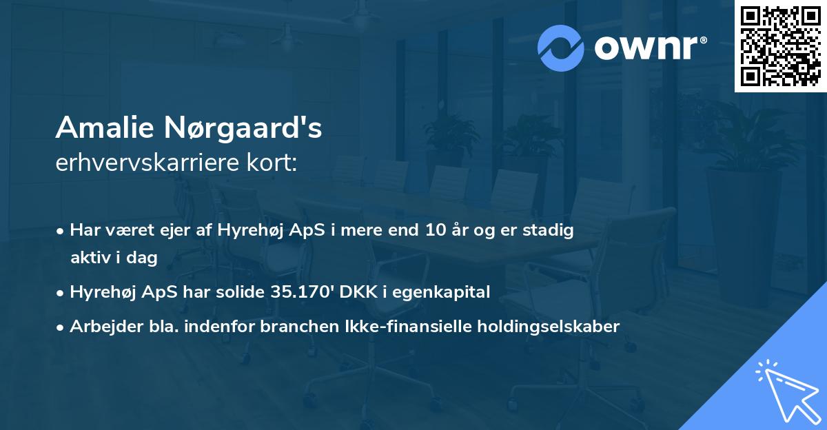 Amalie Nørgaard's erhvervskarriere kort