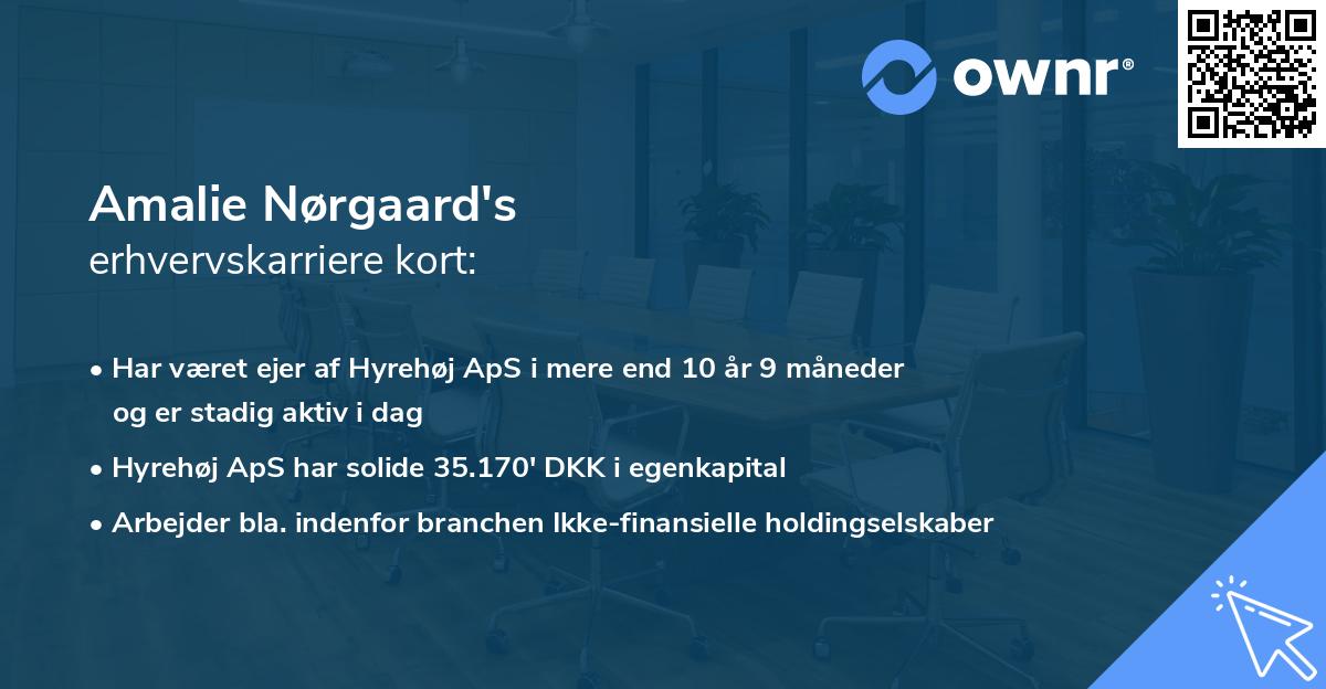 Amalie Nørgaard's erhvervskarriere kort