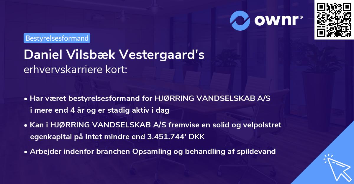 Daniel Vilsbæk Vestergaard's erhvervskarriere kort