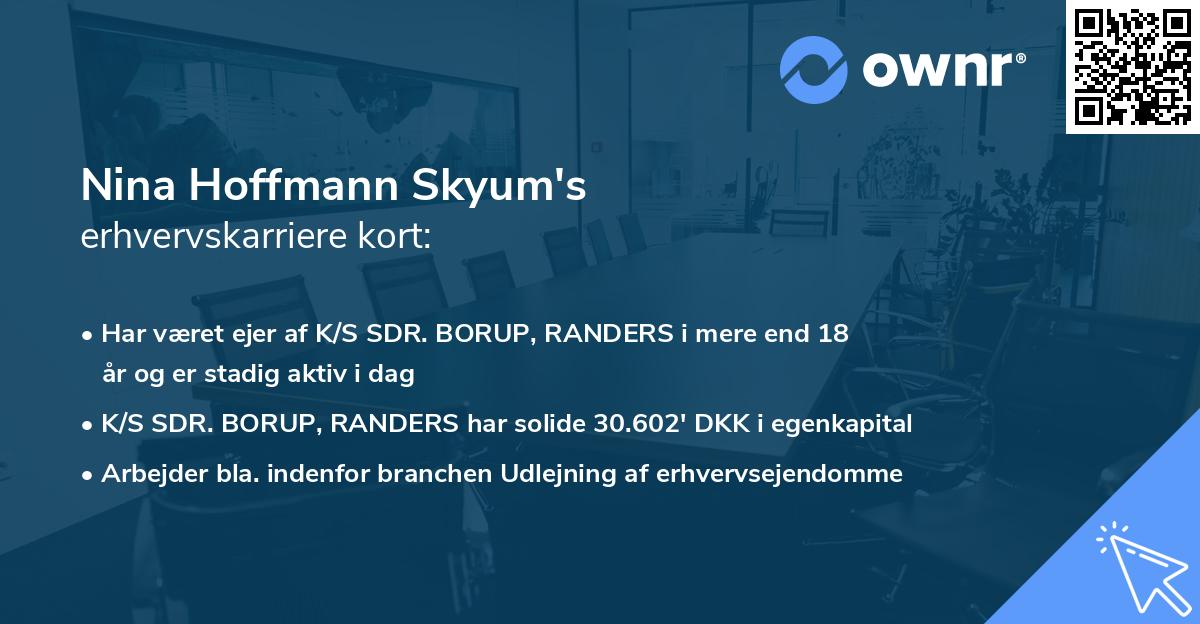 Nina Hoffmann Skyum's erhvervskarriere kort