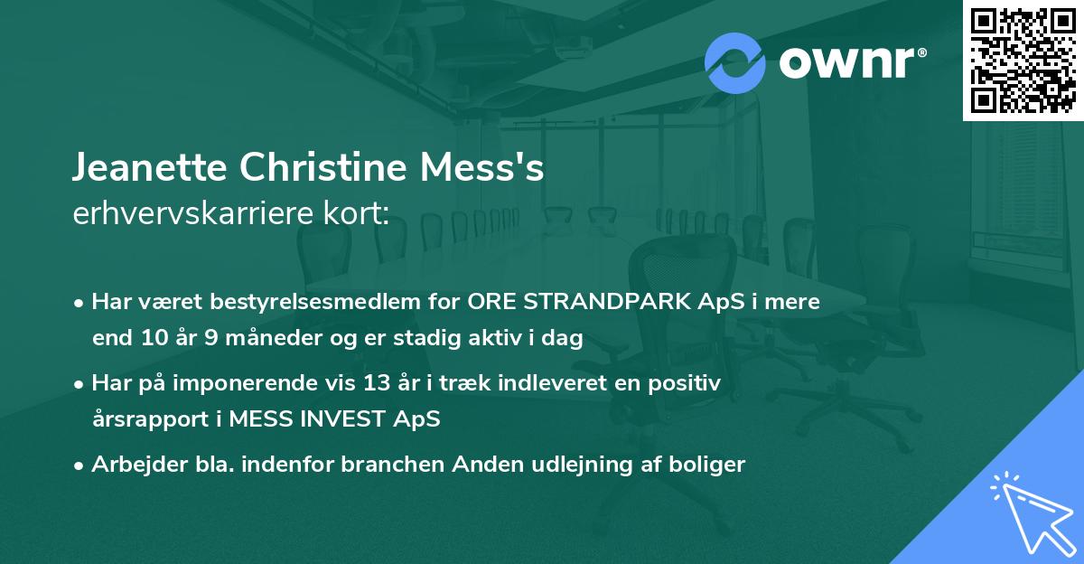 Jeanette Christine Mess's erhvervskarriere kort