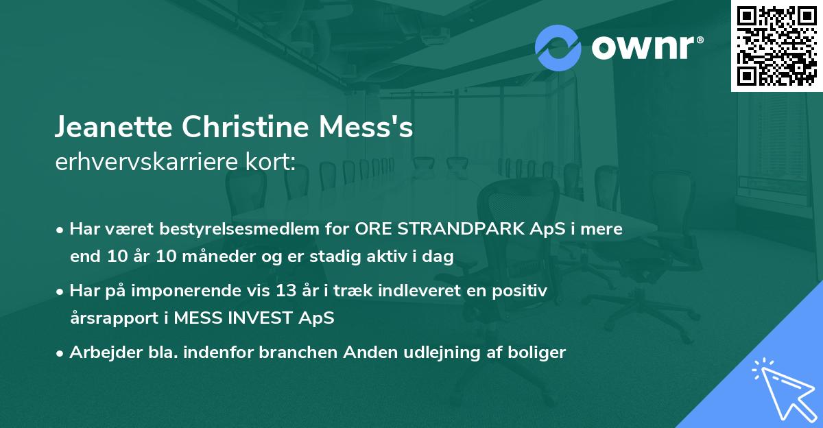 Jeanette Christine Mess's erhvervskarriere kort